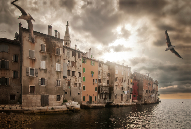 Frei, wie ein Vogel in Rovinj!