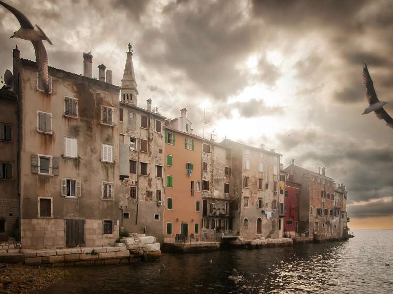 Frei, wie ein Vogel in Rovinj!