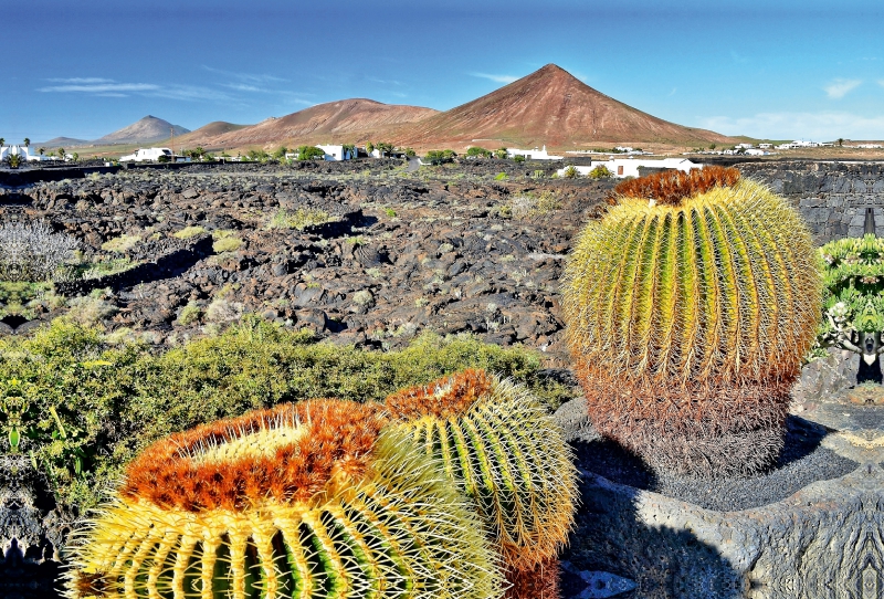 Lanzarote