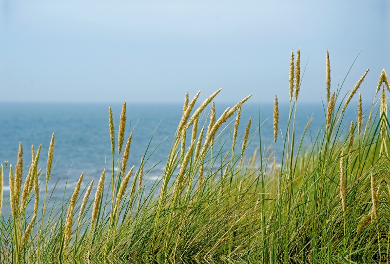 An der Nordsee