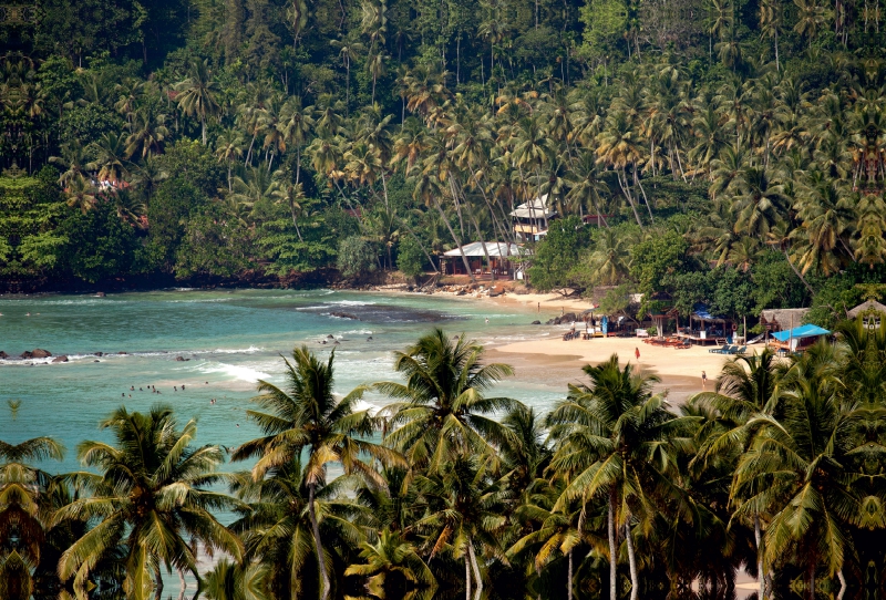 Traumstrand von Mirissa, Sri Lanka