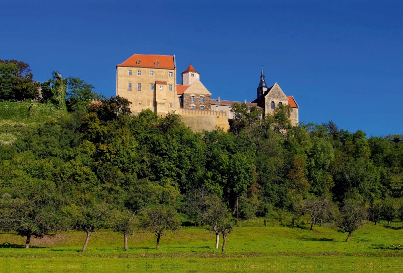 Schloss Goseck