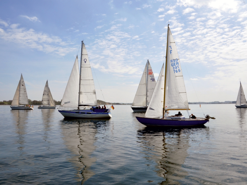 Segelyachten auf der Flensburger Förde