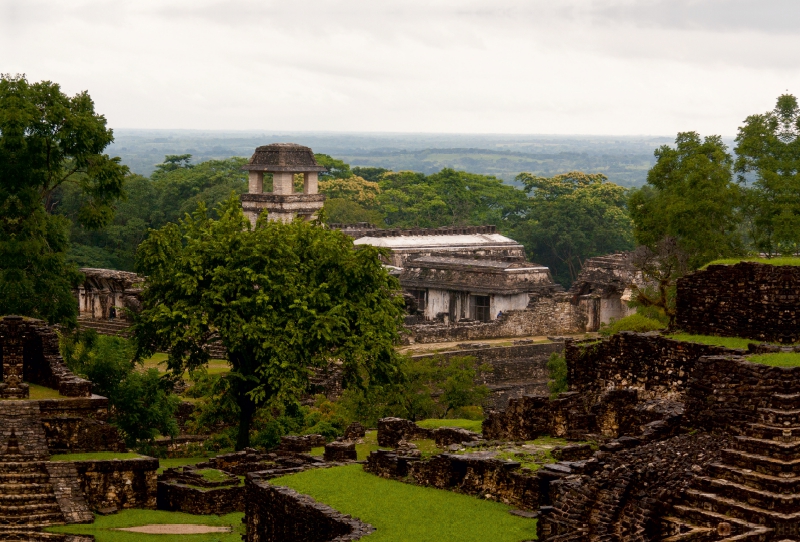 Palenque, Tempel im Regenwald