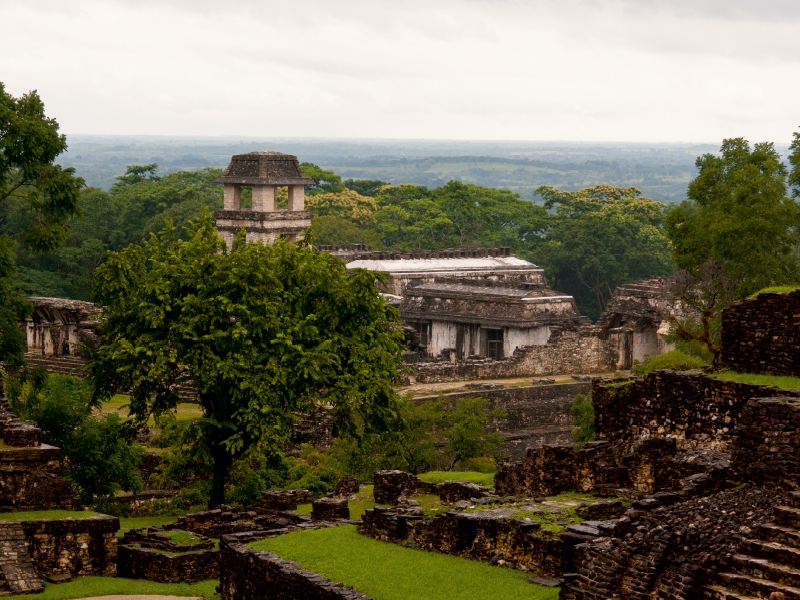 Palenque, Tempel im Regenwald