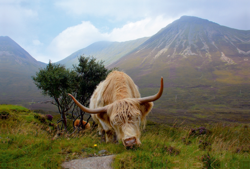 Ein Motiv aus dem Kalender Isle of Skye - Die schönsten Landschaften Schottlands