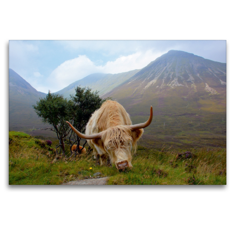 Ein Motiv aus dem Kalender Isle of Skye - Die schönsten Landschaften Schottlands