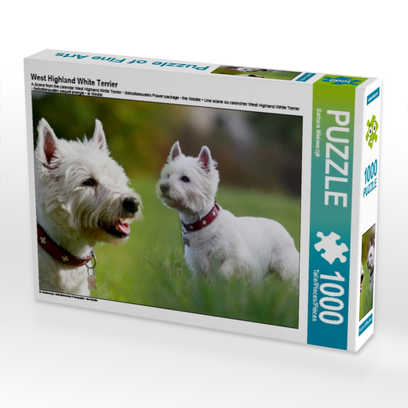 West Highland White Terrier