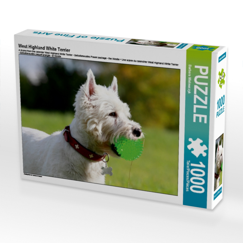 West Highland White Terrier