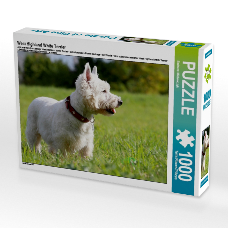 West Highland White Terrier