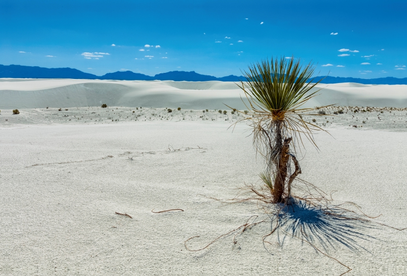 White Sands National Monument, New Mexiko