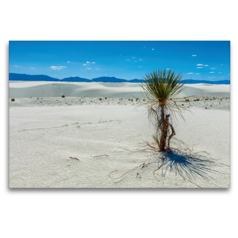 White Sands National Monument, New Mexiko