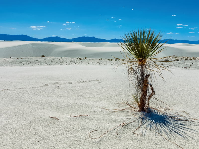 White Sands National Monument, New Mexiko