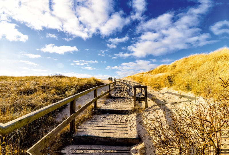 Weg durch die Dünen zum Meer