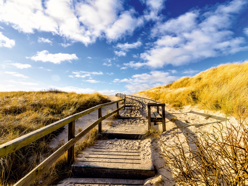 Weg durch die Dünen zum Meer