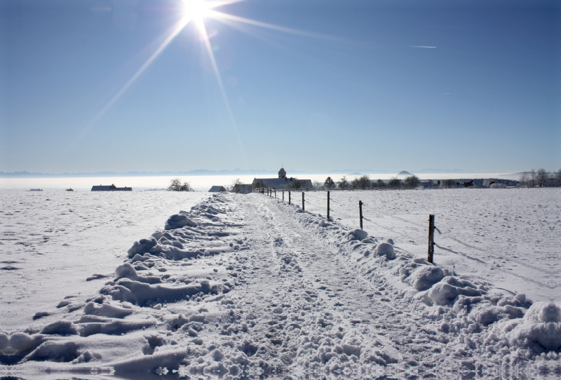 Schneelandschaft auf der schwäbischen Alb