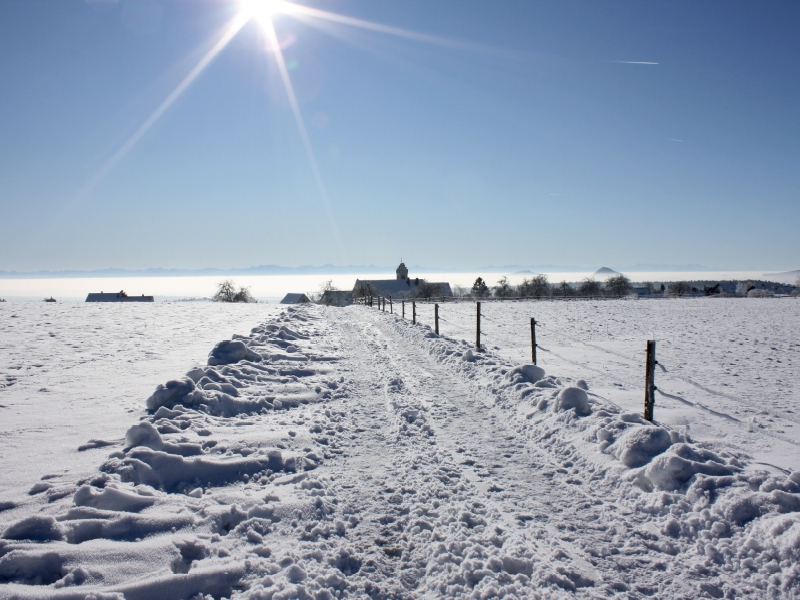 Schneelandschaft auf der schwäbischen Alb