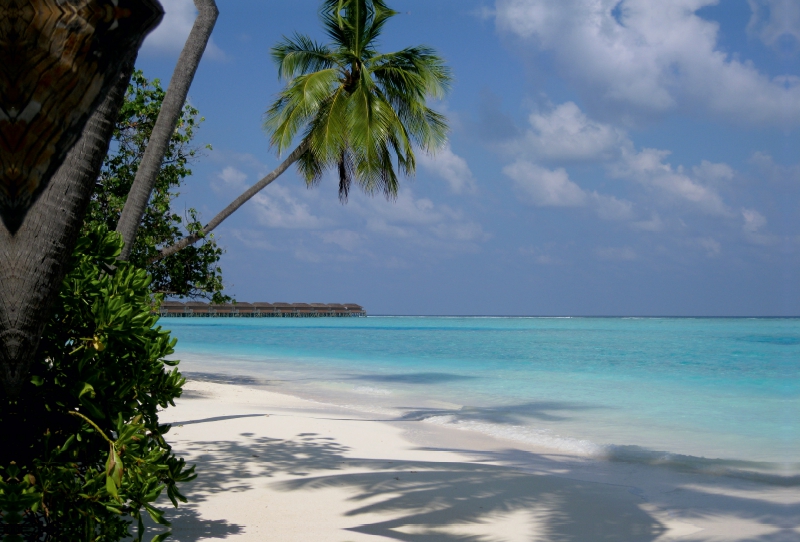 Malediven-Strand mit weißem Korallensand