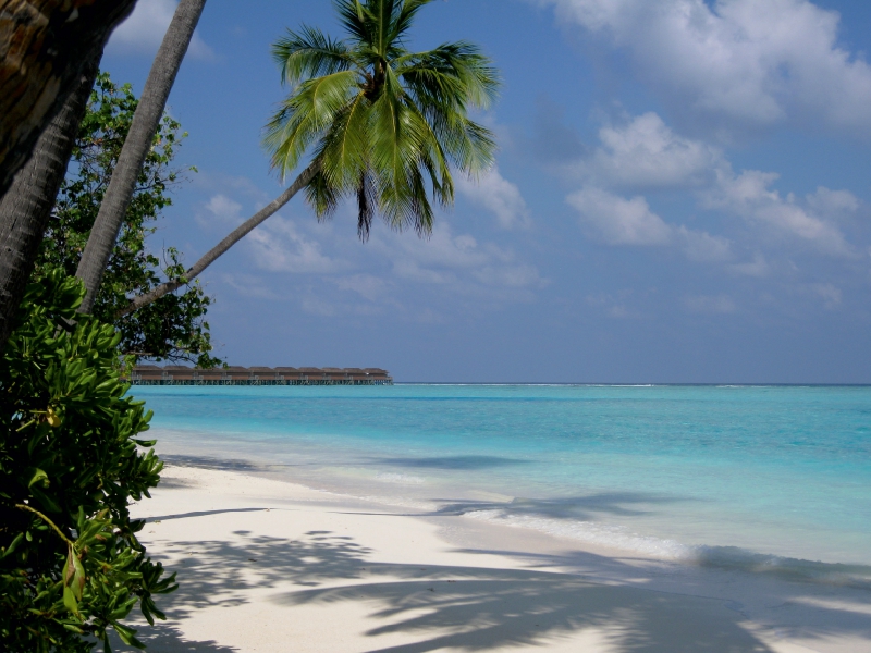 Malediven-Strand mit weißem Korallensand