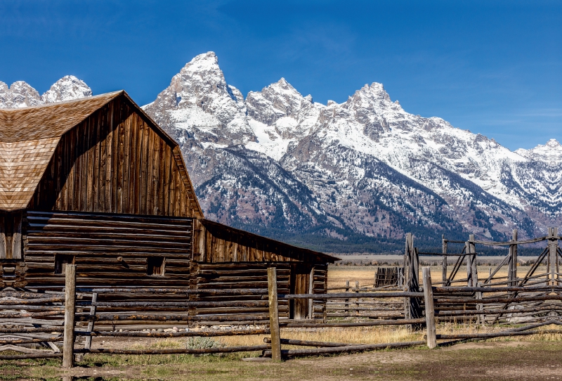 Mormon Row - Grand Teton