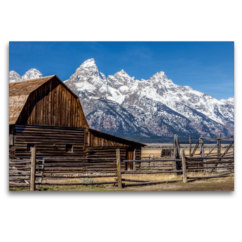 Mormon Row - Grand Teton