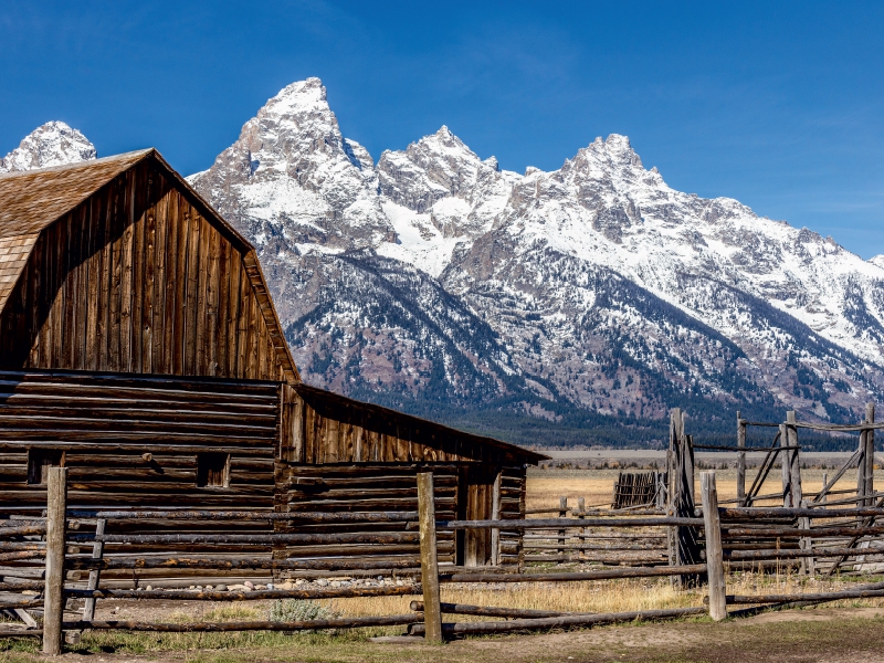 Mormon Row - Grand Teton