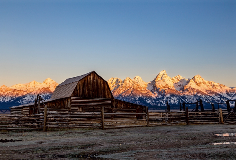 Mormon Row Sunrise