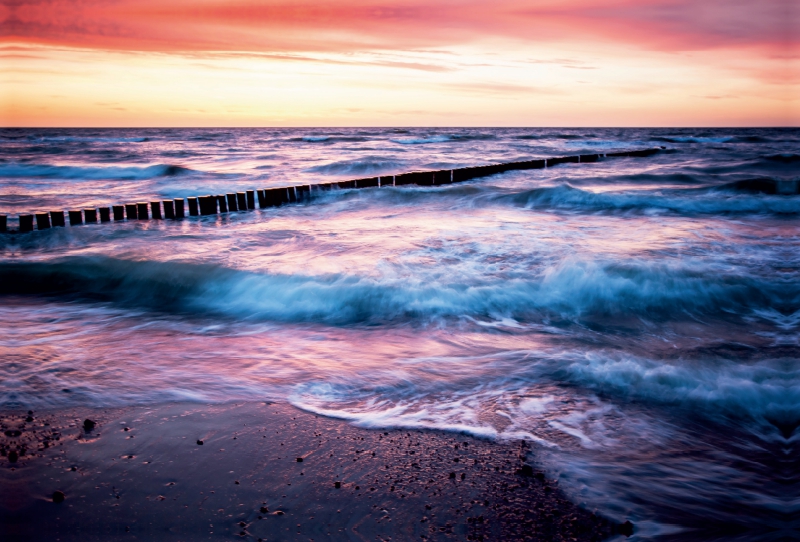 Wilde Ostsee