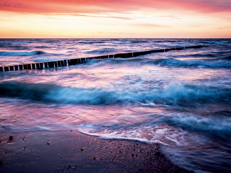 Wilde Ostsee