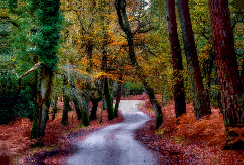 Herbstspaziergang