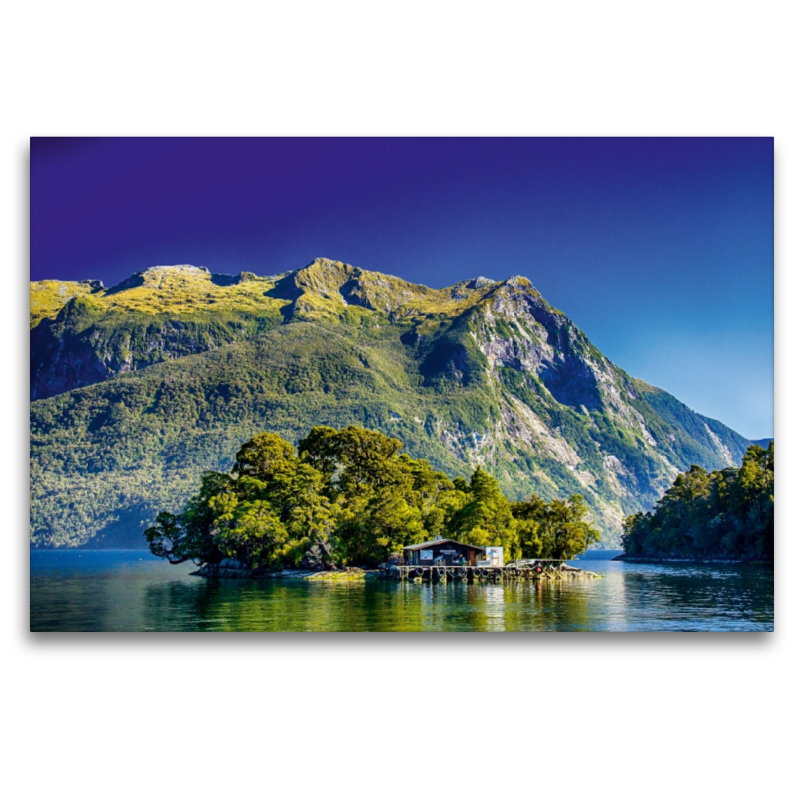 Doubtful Sound