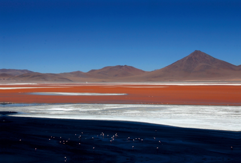 Laguna Colorado, Sur Lípez, Bolivien