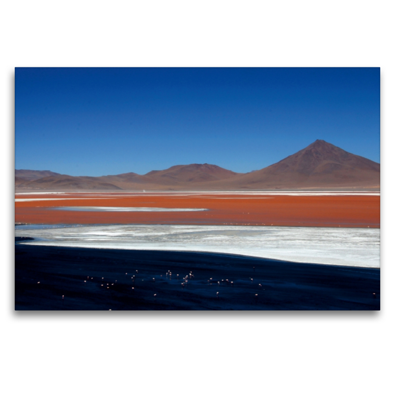 Laguna Colorado, Sur Lípez, Bolivien