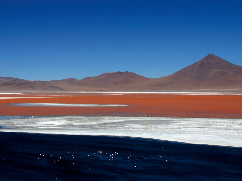 Laguna Colorado, Sur Lípez, Bolivien