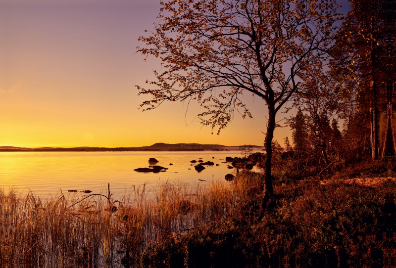 Der Herbst hält Einzug im Norden