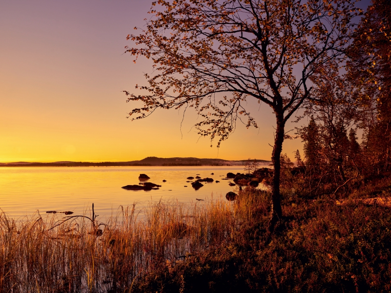 Der Herbst hält Einzug im Norden