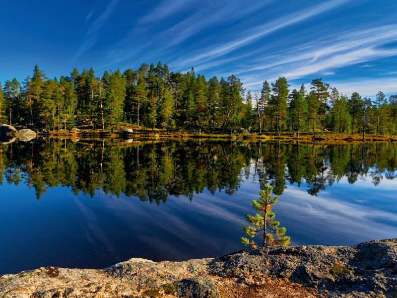 Glasklare Seen prägen das Bild Finnlands