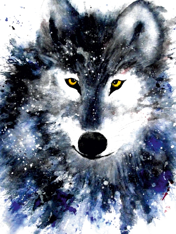 Wolf