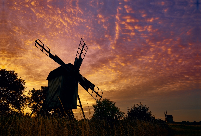 Windmühlen auf Öland / Schweden