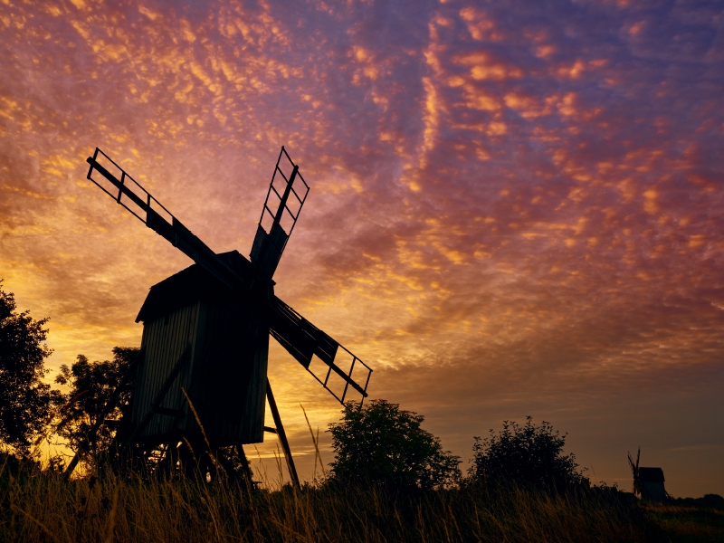 Windmühlen auf Öland / Schweden