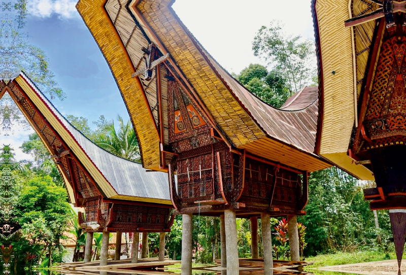 Traditionelle Häuser im Torojaland, Sulawesi