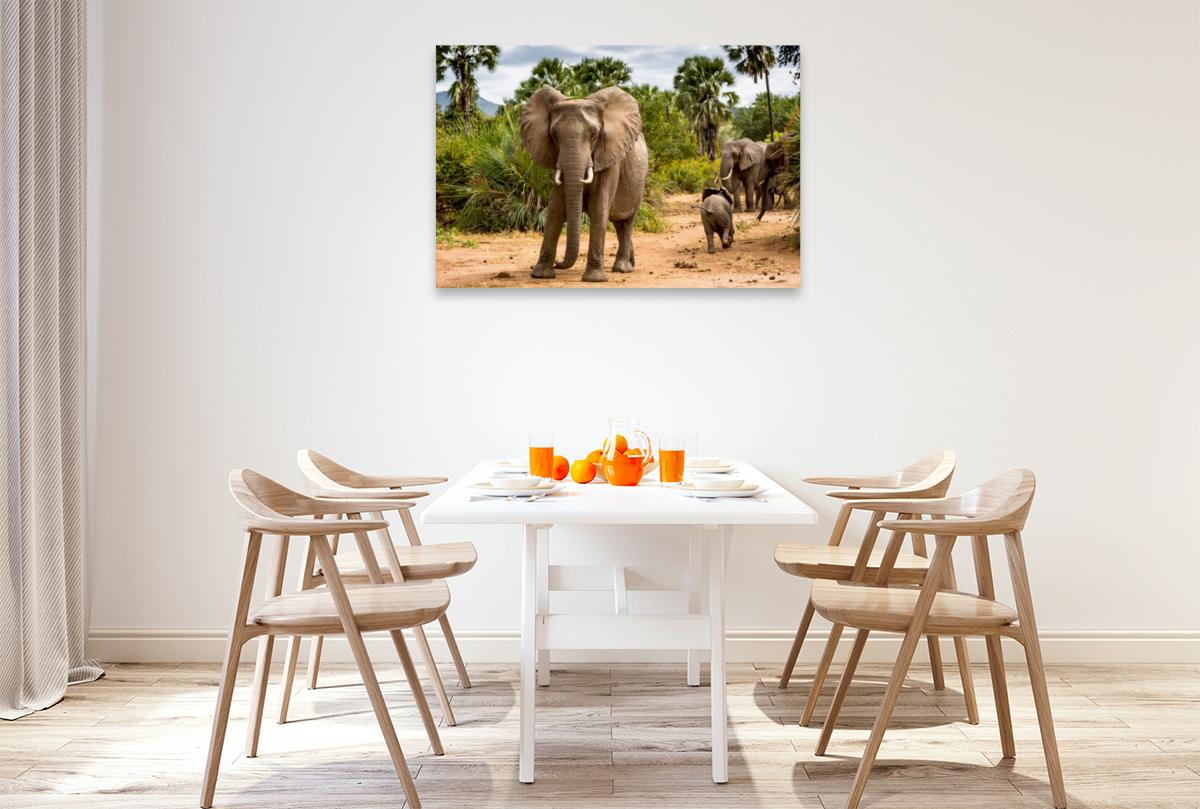 Abenteuer Sambia: Elefant mit Jungtier im Lower Zambezi National Park