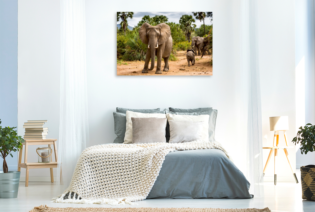 Abenteuer Sambia: Elefant mit Jungtier im Lower Zambezi National Park