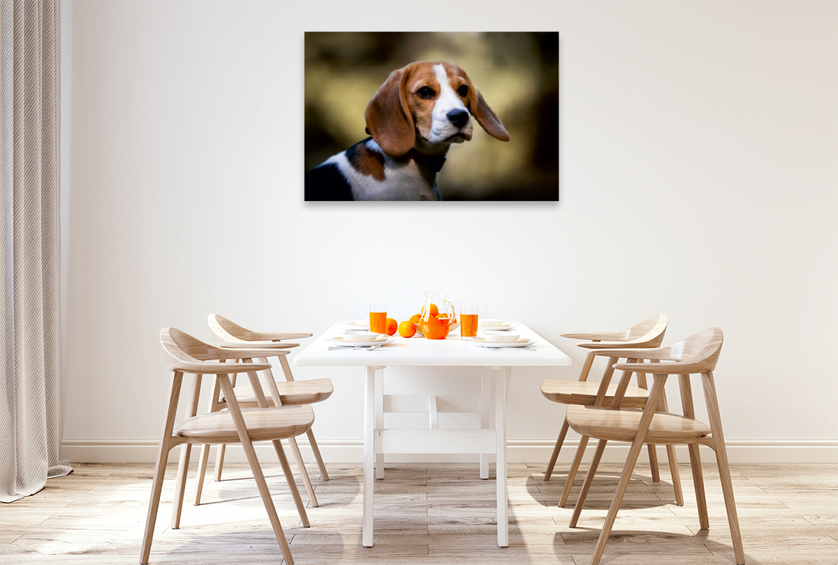 Beagle-Portrait