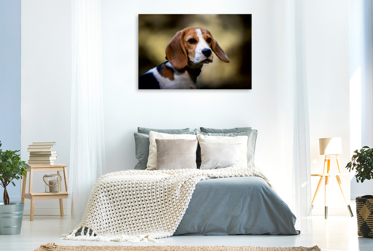 Beagle-Portrait