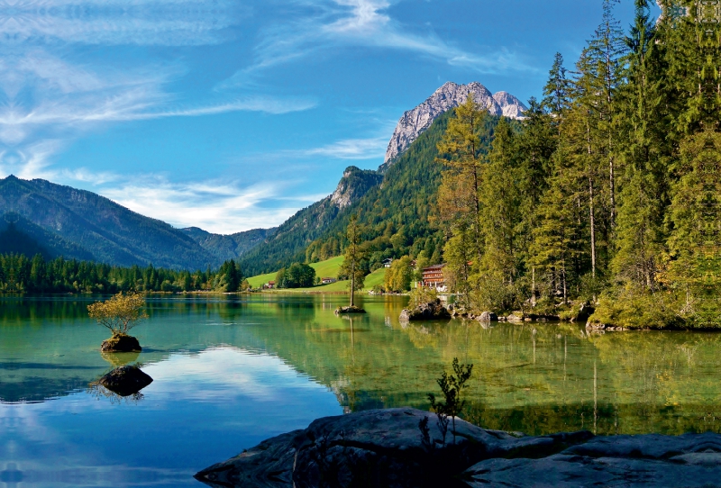 Im Wald am Hintersee