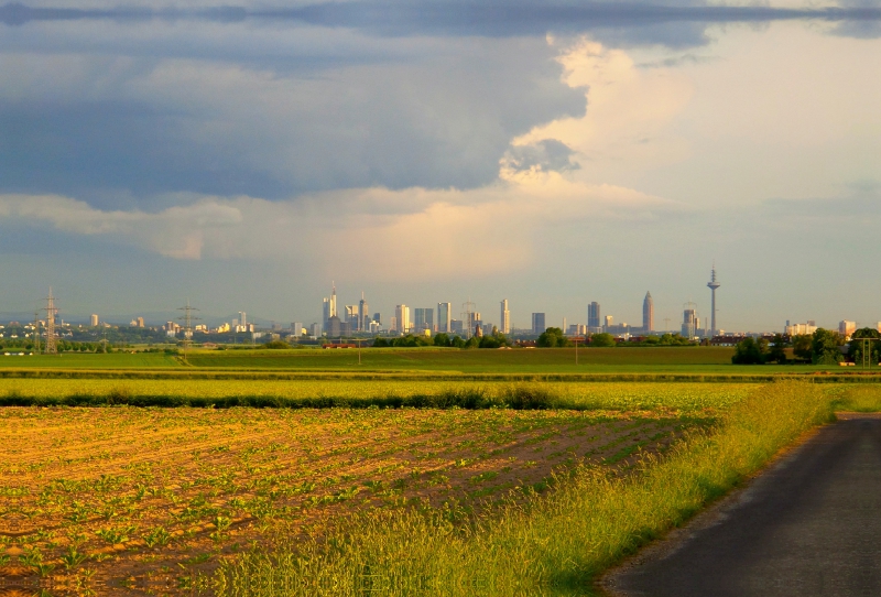 Blick vom Reinhardtshof auf Frankfurt am Main