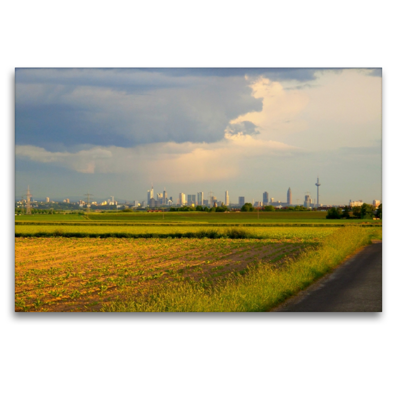 Blick vom Reinhardtshof auf Frankfurt am Main