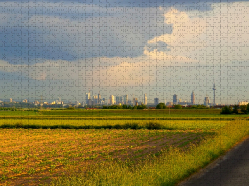 Blick vom Reinhardtshof auf Frankfurt am Main