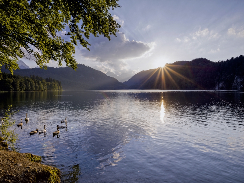 Alpsee bei Füssen